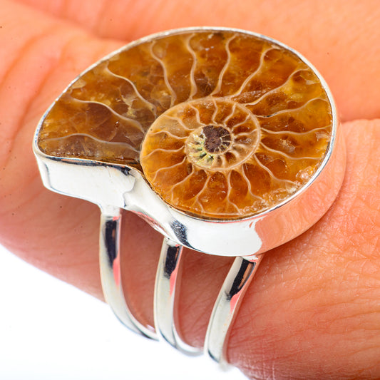 Ammonite Fossil Rings handcrafted by Ana Silver Co - RING72425