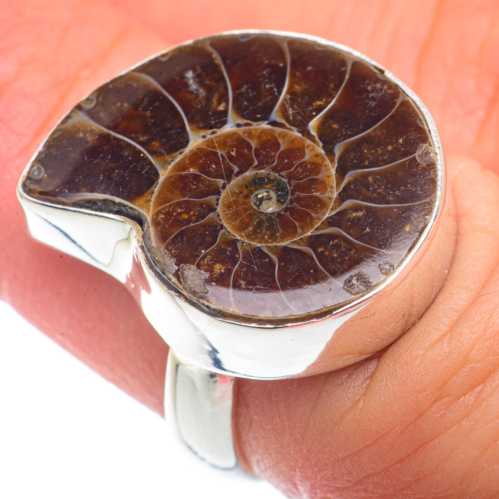 Ammonite Fossil Rings handcrafted by Ana Silver Co - RING72478