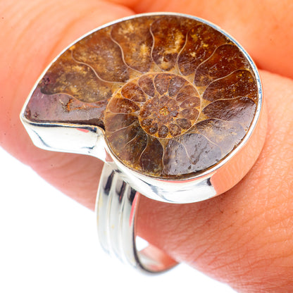 Ammonite Fossil Rings handcrafted by Ana Silver Co - RING72528