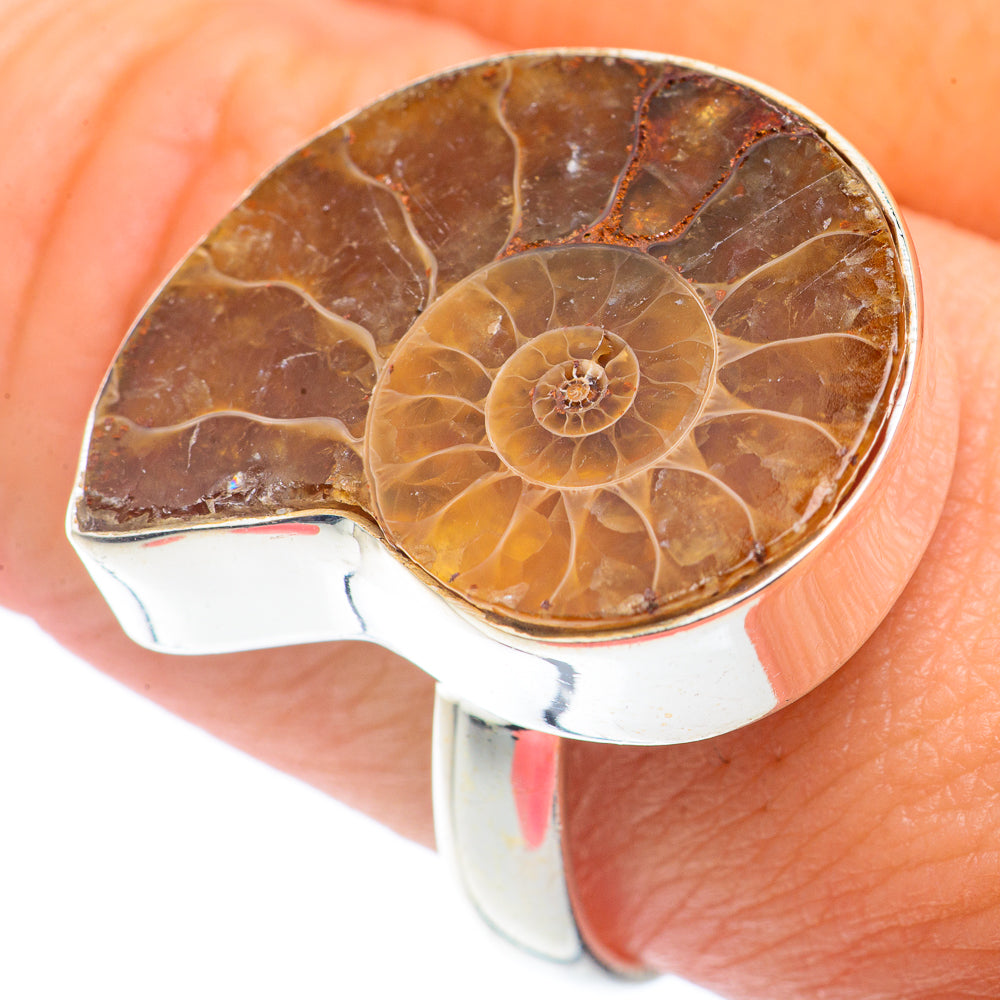 Ammonite Fossil Rings handcrafted by Ana Silver Co - RING72566