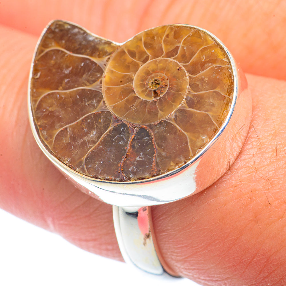 Ammonite Fossil Rings handcrafted by Ana Silver Co - RING72608