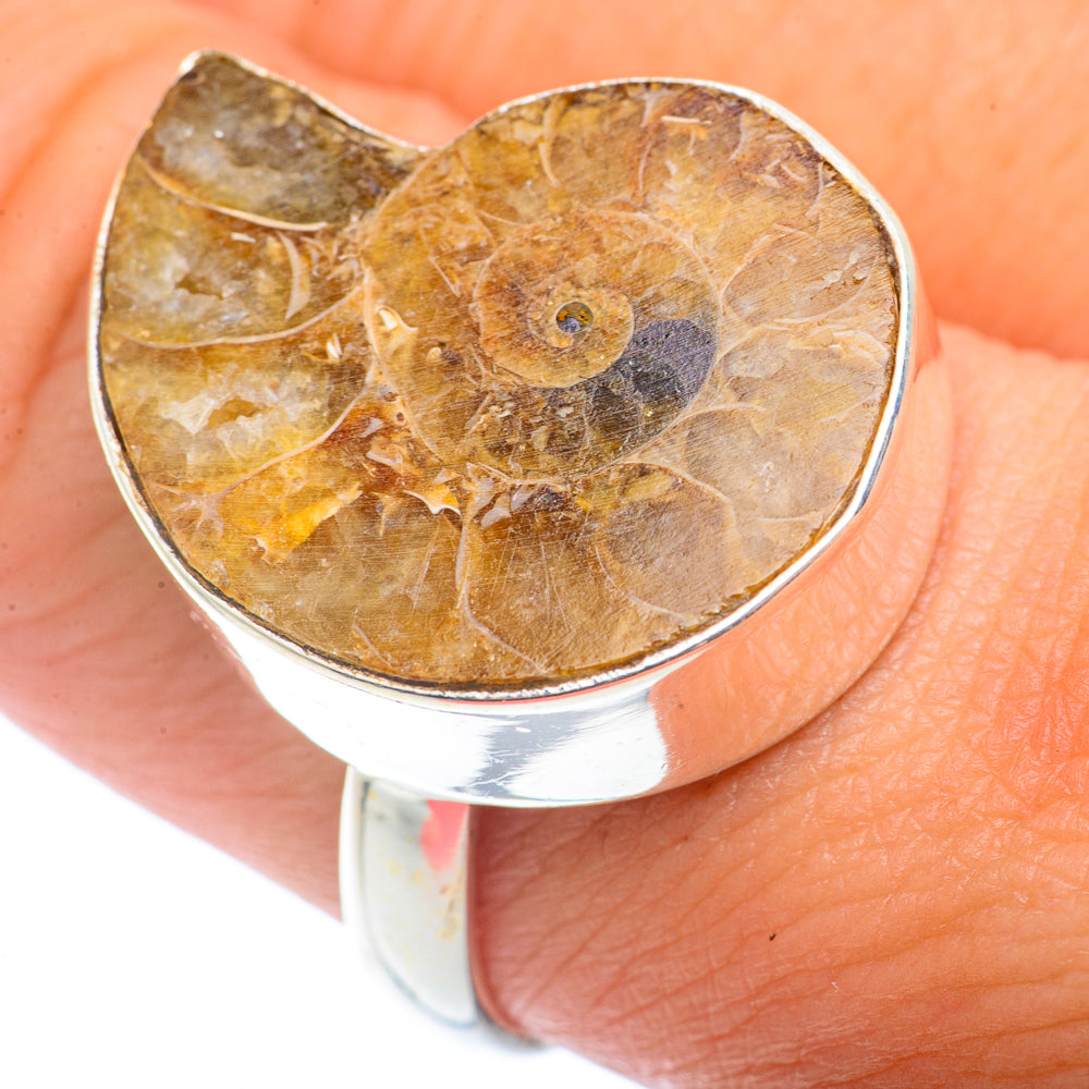 Ammonite Fossil Rings handcrafted by Ana Silver Co - RING72646