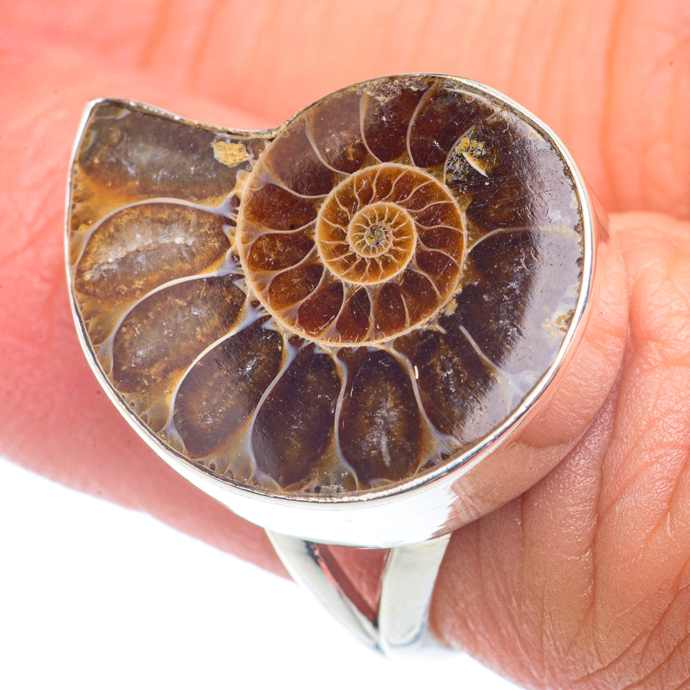 Ammonite Fossil Rings handcrafted by Ana Silver Co - RING72684