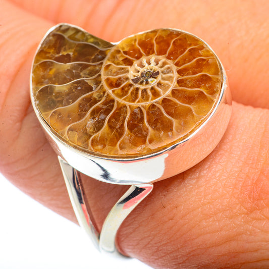 Ammonite Fossil Rings handcrafted by Ana Silver Co - RING72726