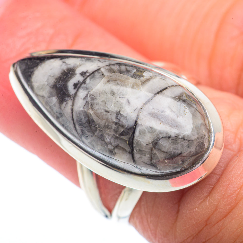Orthoceras Fossil Rings handcrafted by Ana Silver Co - RING72843
