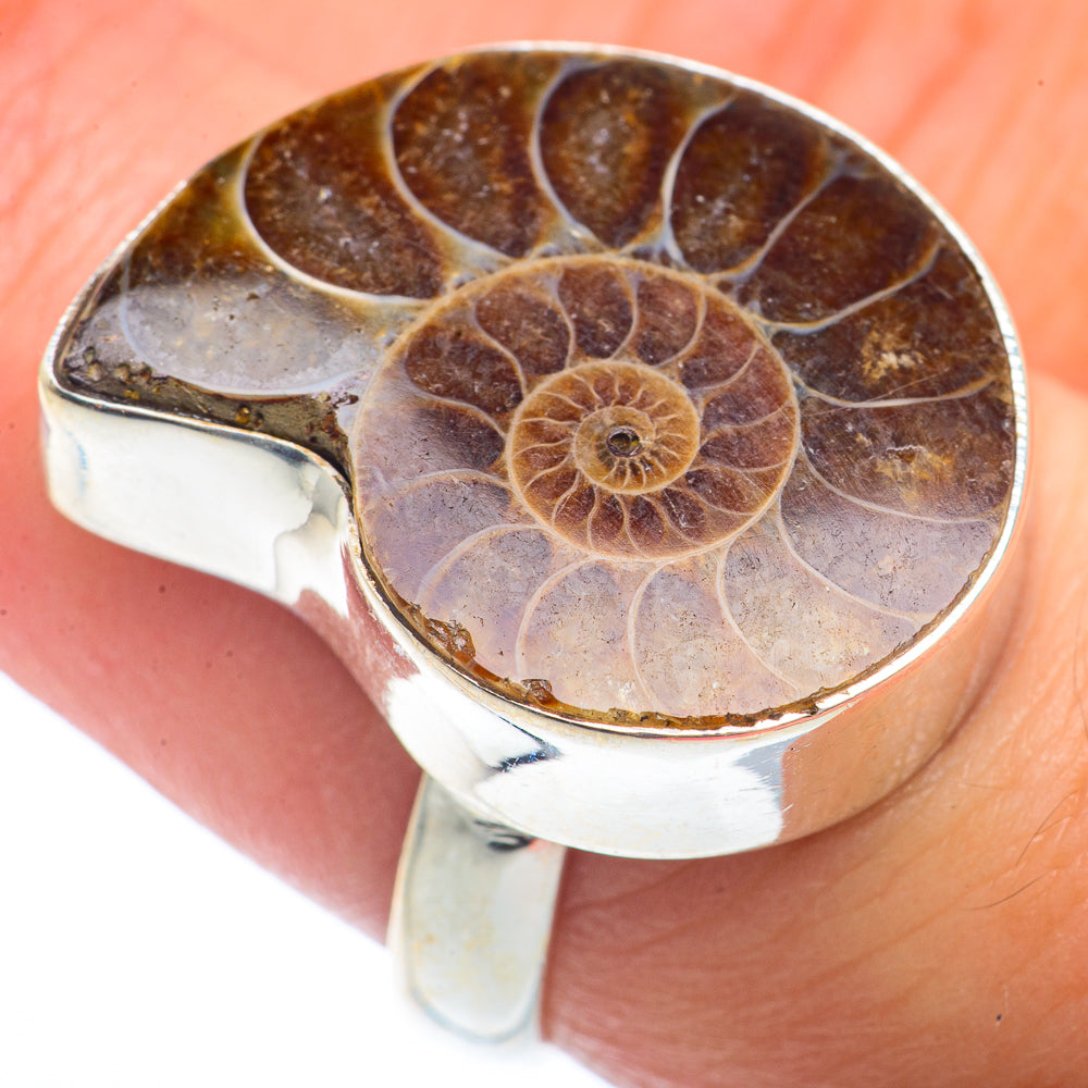 Ammonite Fossil Rings handcrafted by Ana Silver Co - RING72900
