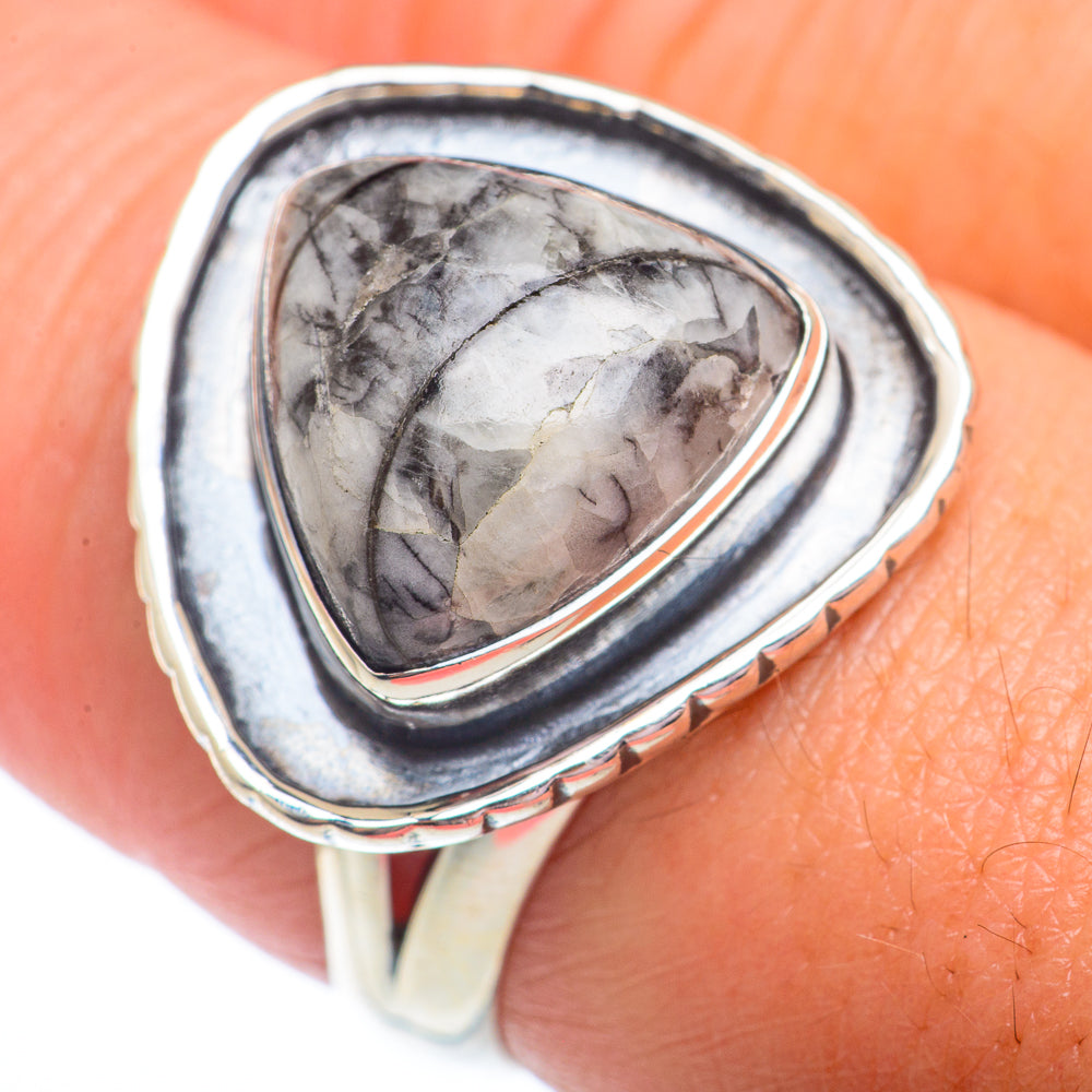 Orthoceras Fossil Rings handcrafted by Ana Silver Co - RING73042