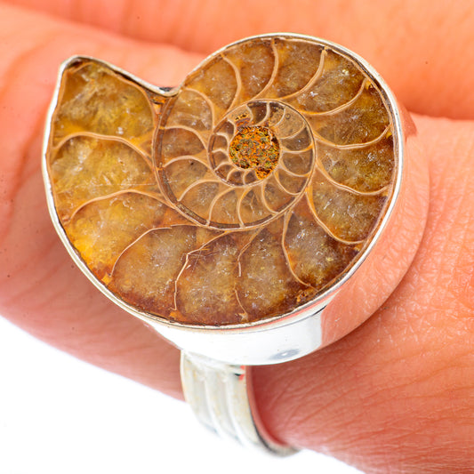 Ammonite Fossil Rings handcrafted by Ana Silver Co - RING73138