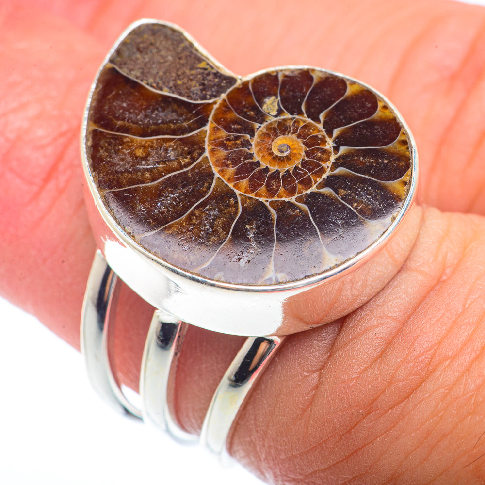 Ammonite Fossil Rings handcrafted by Ana Silver Co - RING73354