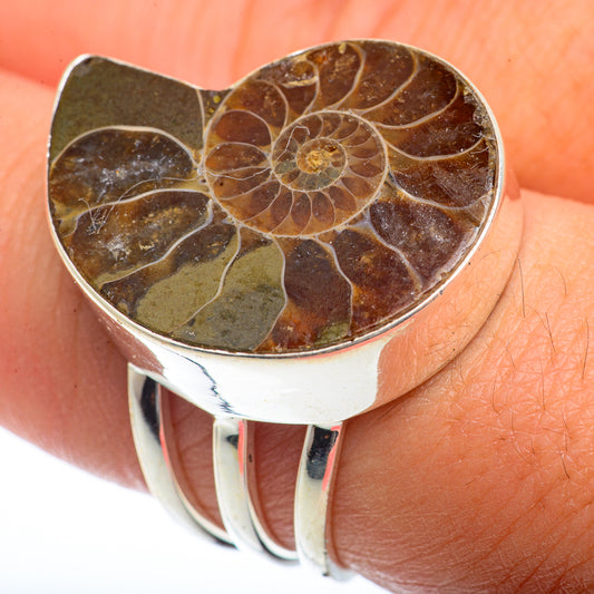 Ammonite Fossil Rings handcrafted by Ana Silver Co - RING73429