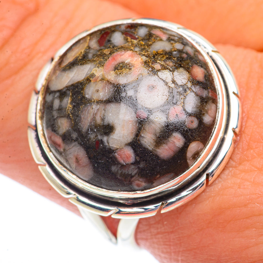 Crinoid Fossil Rings handcrafted by Ana Silver Co - RING73488