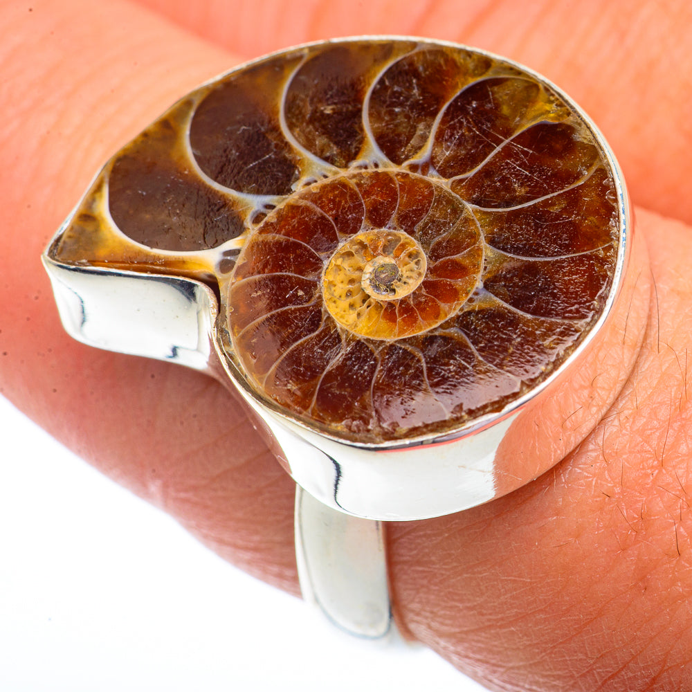 Ammonite Fossil Rings handcrafted by Ana Silver Co - RING73584