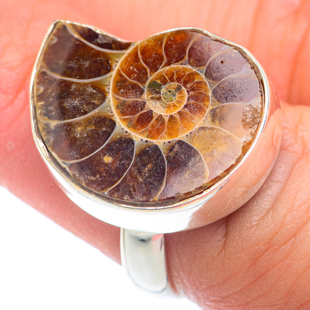 Ammonite Fossil Rings handcrafted by Ana Silver Co - RING73721