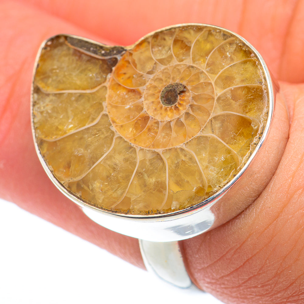 Ammonite Fossil Rings handcrafted by Ana Silver Co - RING73790