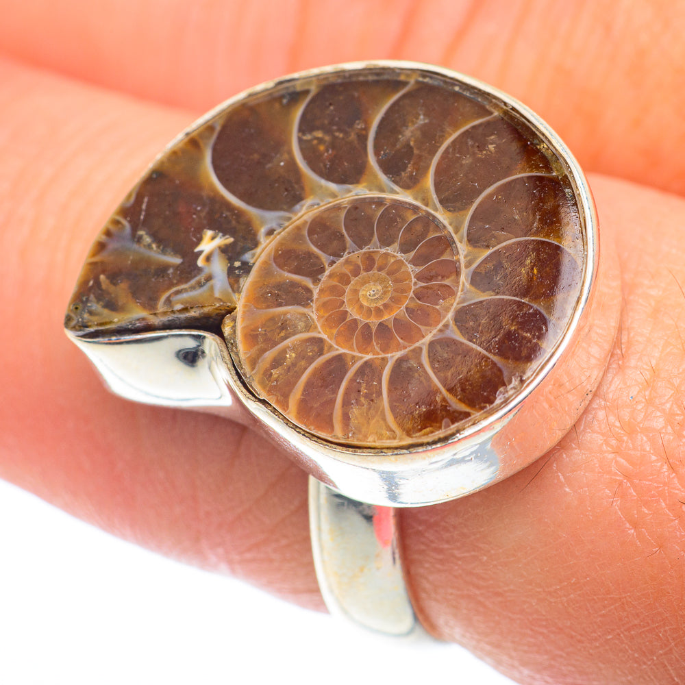 Ammonite Fossil Rings handcrafted by Ana Silver Co - RING73916