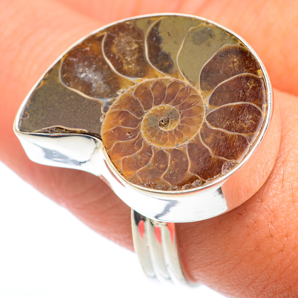 Ammonite Fossil Rings handcrafted by Ana Silver Co - RING74036