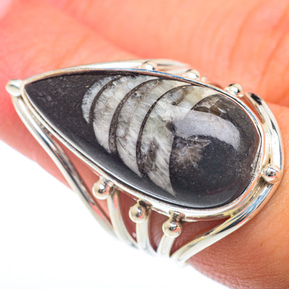 Sterling silver oval orthoceras fossil ring with dark face and curved white stripes