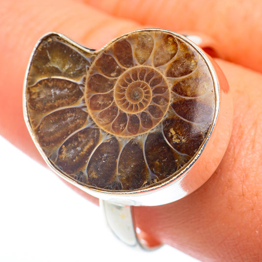 Ammonite Fossil Rings handcrafted by Ana Silver Co - RING74112
