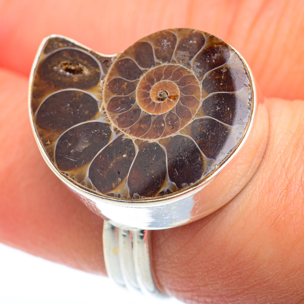 Ammonite Fossil Rings handcrafted by Ana Silver Co - RING74199