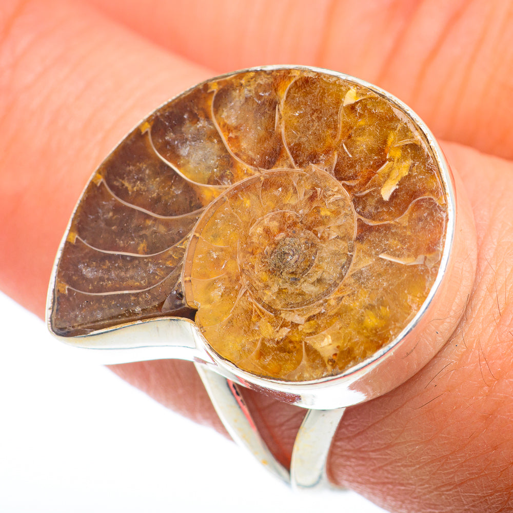 Ammonite Fossil Rings handcrafted by Ana Silver Co - RING74238