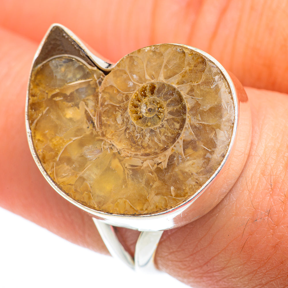 Ammonite Fossil Rings handcrafted by Ana Silver Co - RING74276
