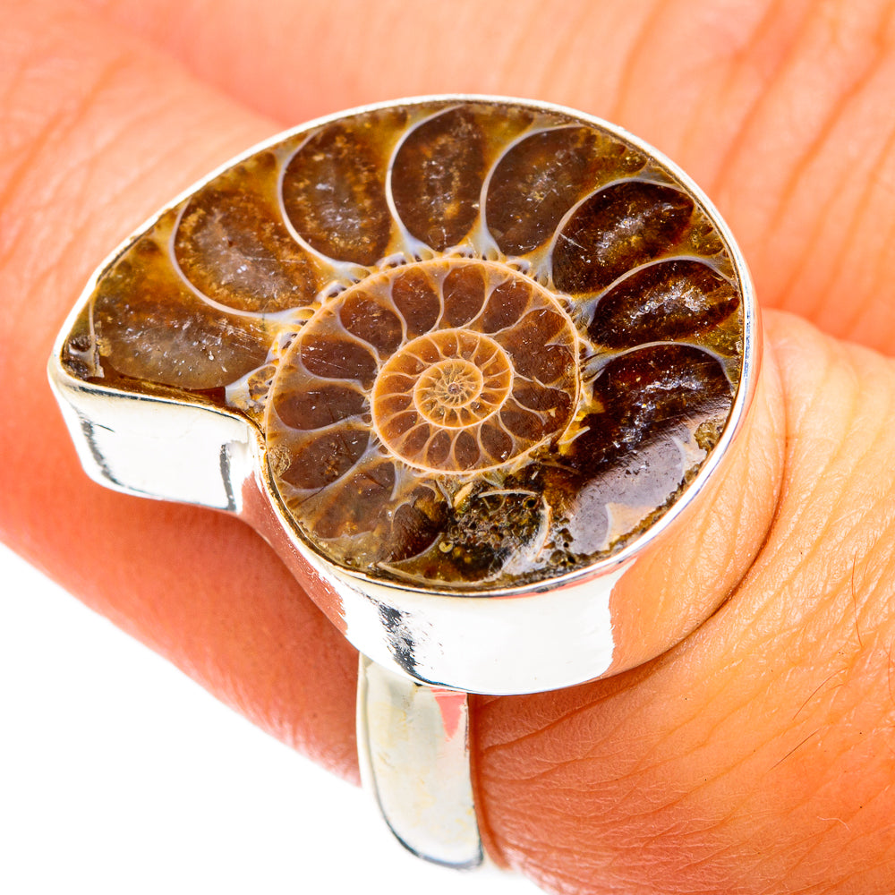 Ammonite Fossil Rings handcrafted by Ana Silver Co - RING74619