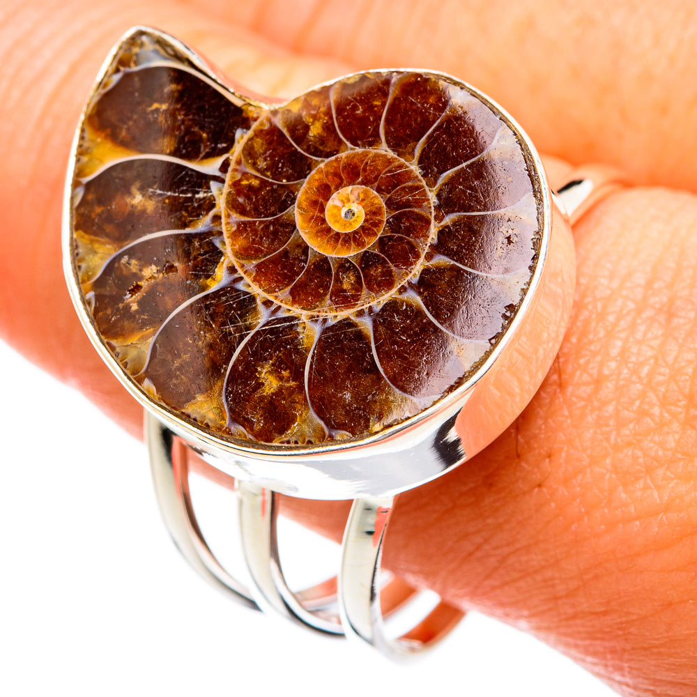 Large ammonite fossil ring with amber brown spiral in heart-shaped bezel, 925 silver band