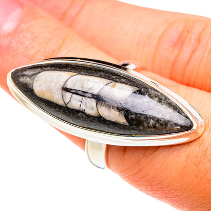 Orthoceras Fossil Rings handcrafted by Ana Silver Co - RING76184