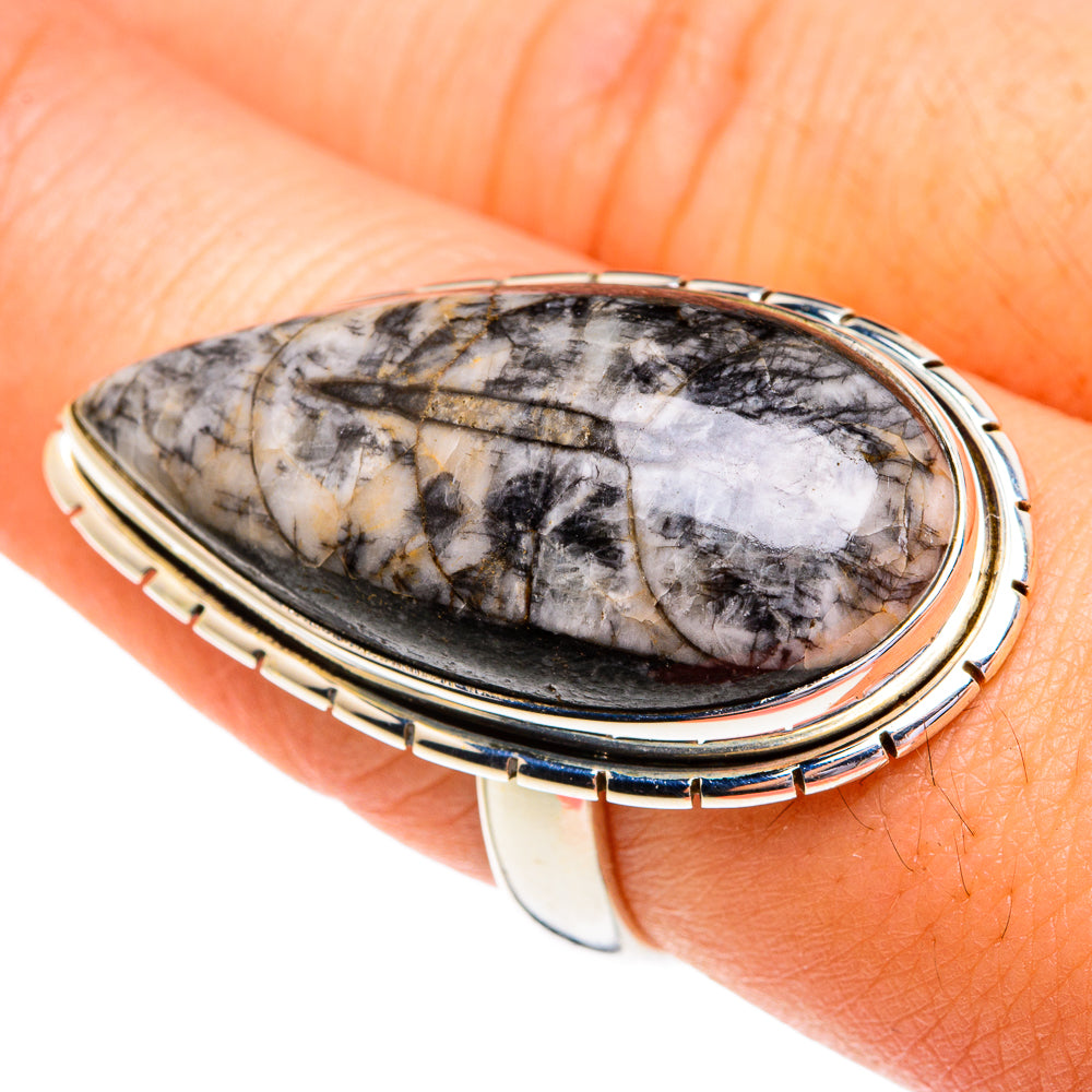Orthoceras Fossil Rings handcrafted by Ana Silver Co - RING76949