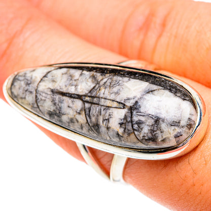 Large sterling silver oval fossil ring with gray-white Orthoceras stone face