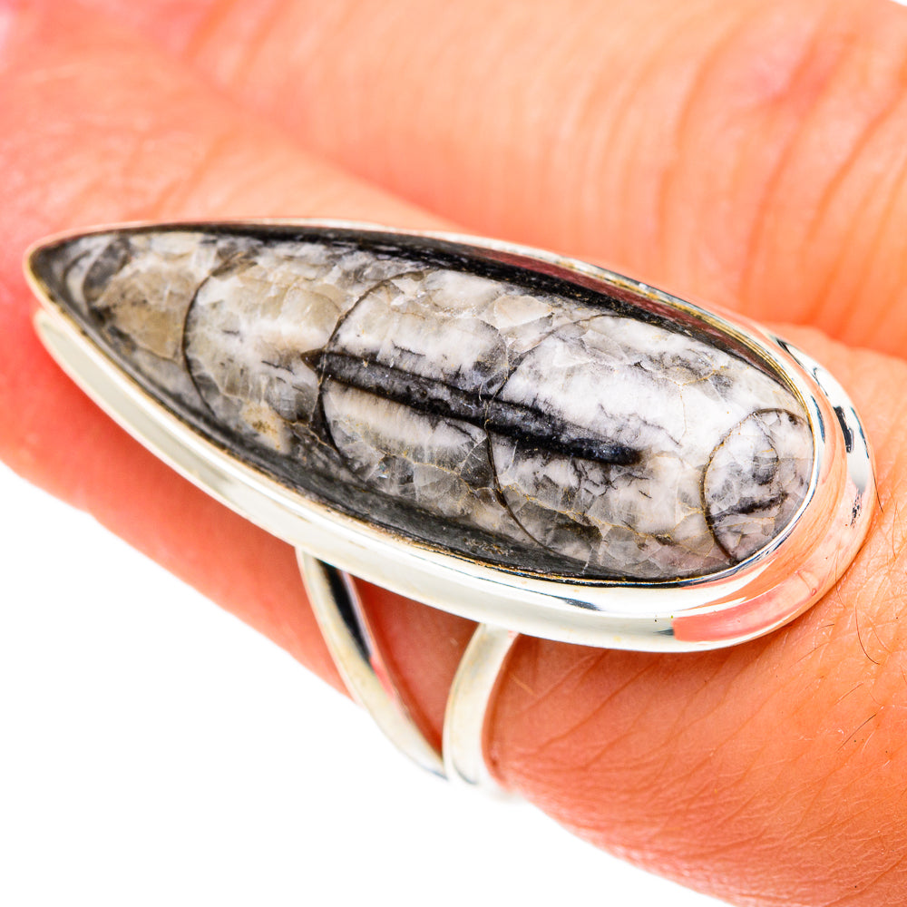 Orthoceras Fossil Rings handcrafted by Ana Silver Co - RING77324