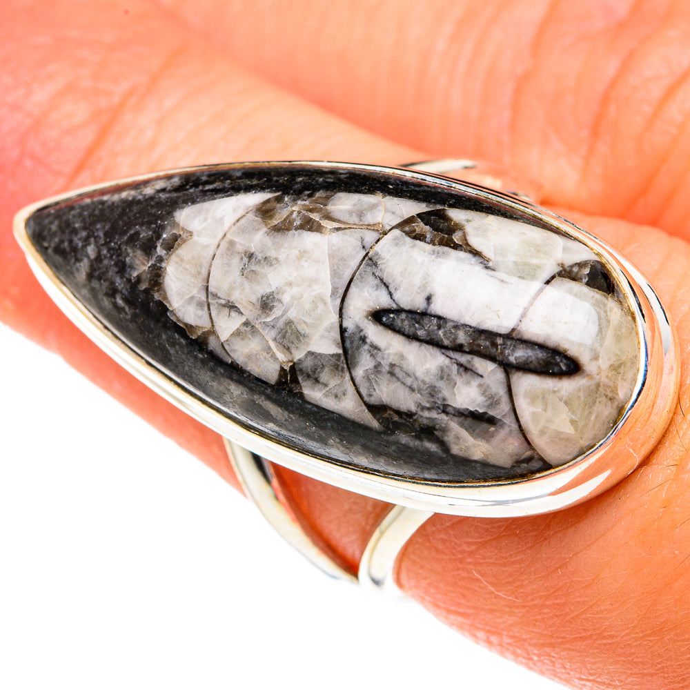 Orthoceras Fossil Rings handcrafted by Ana Silver Co - RING77351
