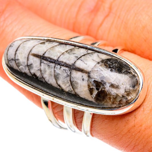 Orthoceras Fossil Rings handcrafted by Ana Silver Co - RING77691