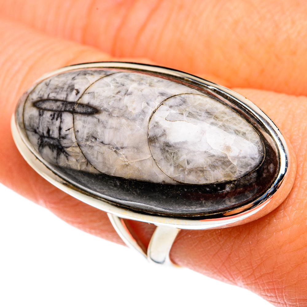 Orthoceras Fossil Rings handcrafted by Ana Silver Co - RING77719