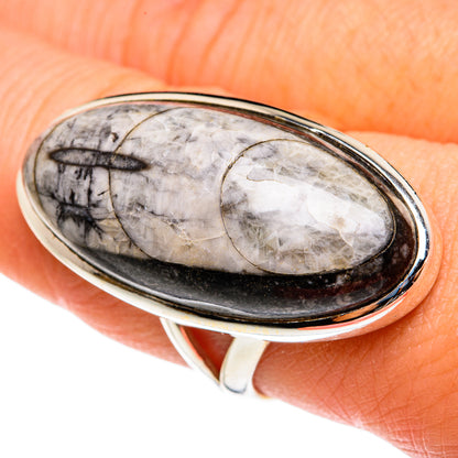 Orthoceras Fossil Rings handcrafted by Ana Silver Co - RING77719