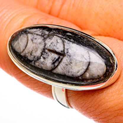 Orthoceras Fossil Rings handcrafted by Ana Silver Co - RING78012