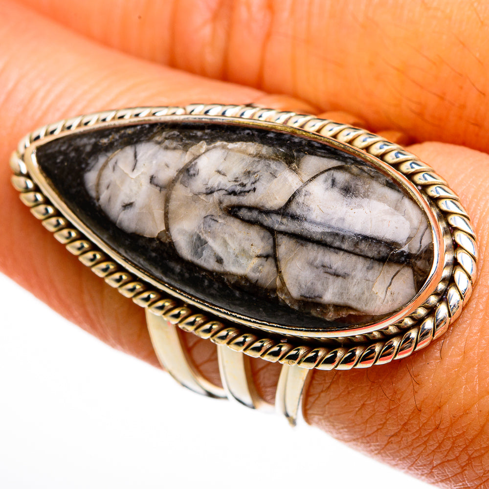 Orthoceras Fossil Rings handcrafted by Ana Silver Co - RING78057