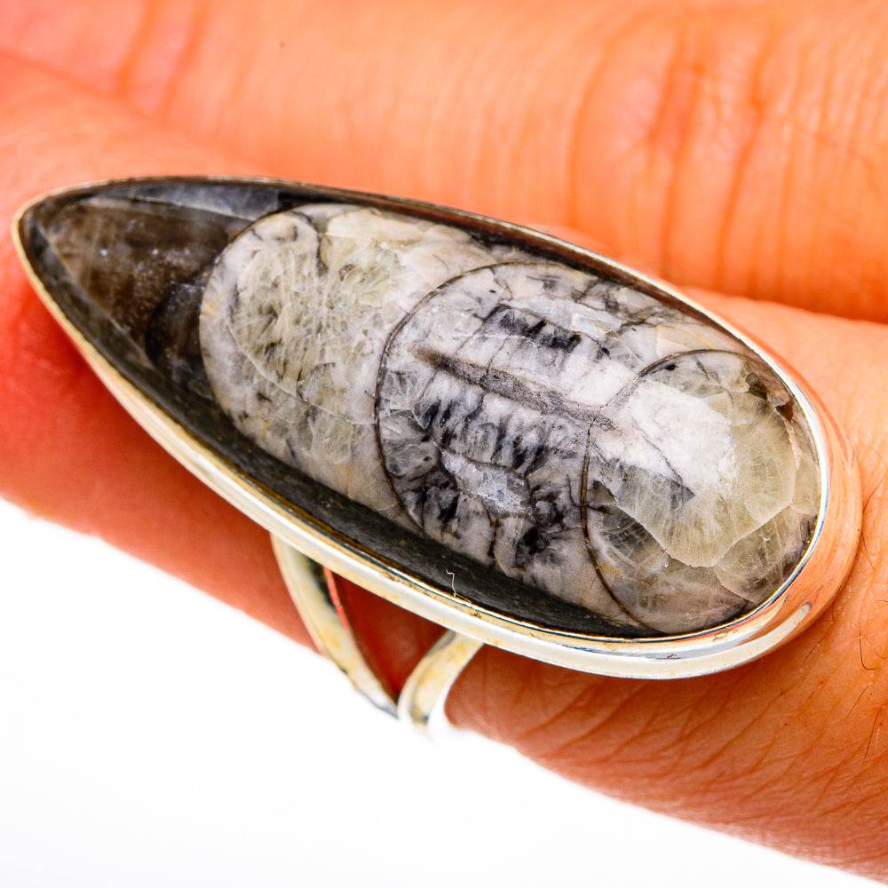 Orthoceras Fossil Rings handcrafted by Ana Silver Co - RING78131