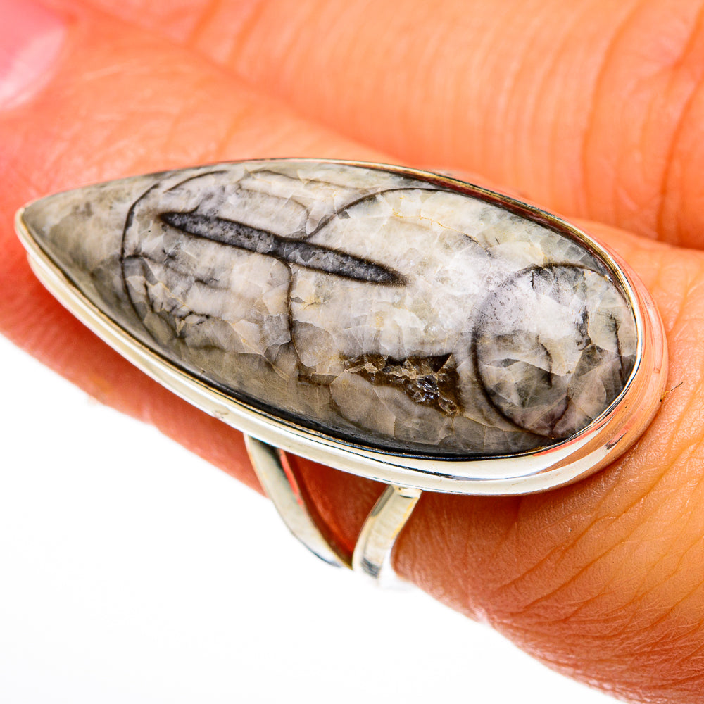 Sterling silver ring with large gray-brown Orthoceras fossil stone, oval cabochon setting