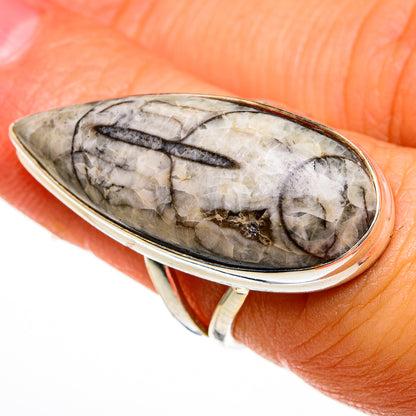 Sterling silver ring with large gray-brown Orthoceras fossil stone, oval cabochon setting