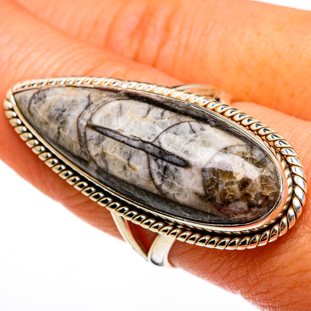 Orthoceras Fossil Rings handcrafted by Ana Silver Co - RING78179