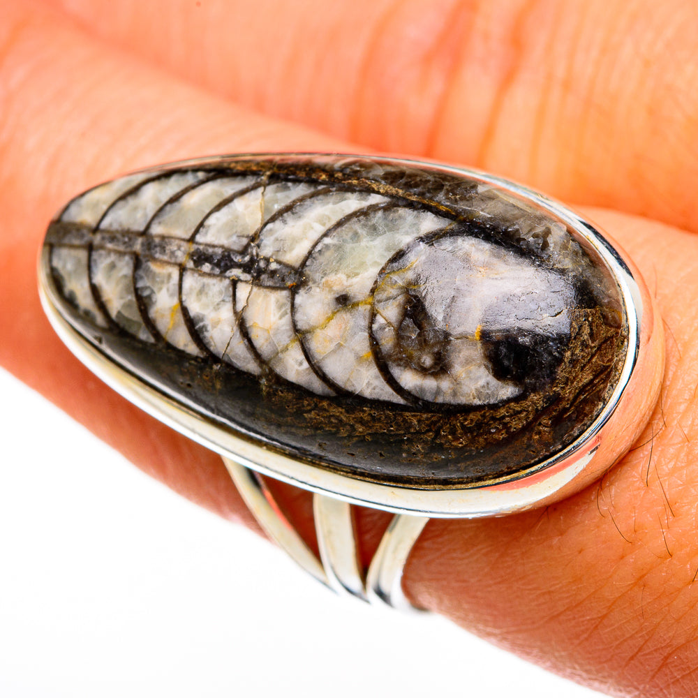 Orthoceras Fossil Rings handcrafted by Ana Silver Co - RING78521