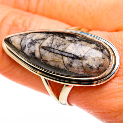 Orthoceras Fossil Rings handcrafted by Ana Silver Co - RING78558