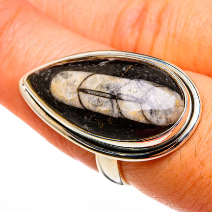 Orthoceras Fossil Rings handcrafted by Ana Silver Co - RING78559