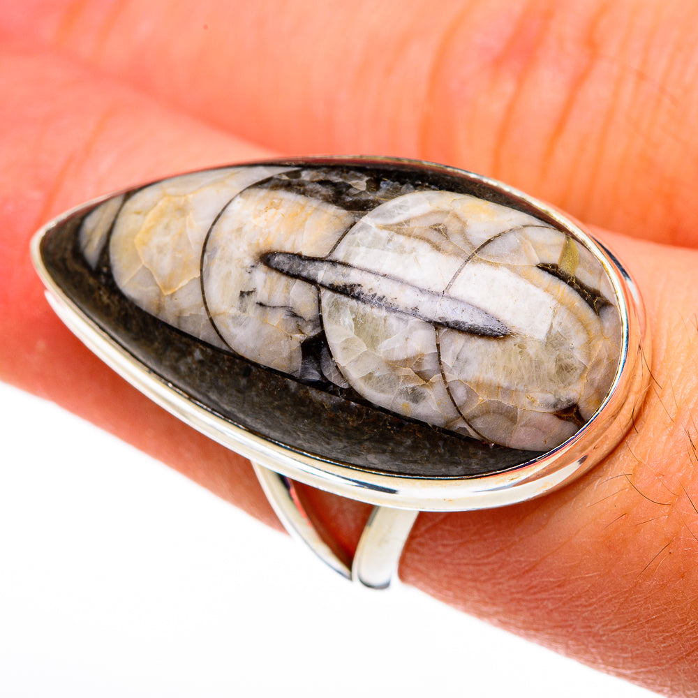 Orthoceras Fossil Rings handcrafted by Ana Silver Co - RING78588