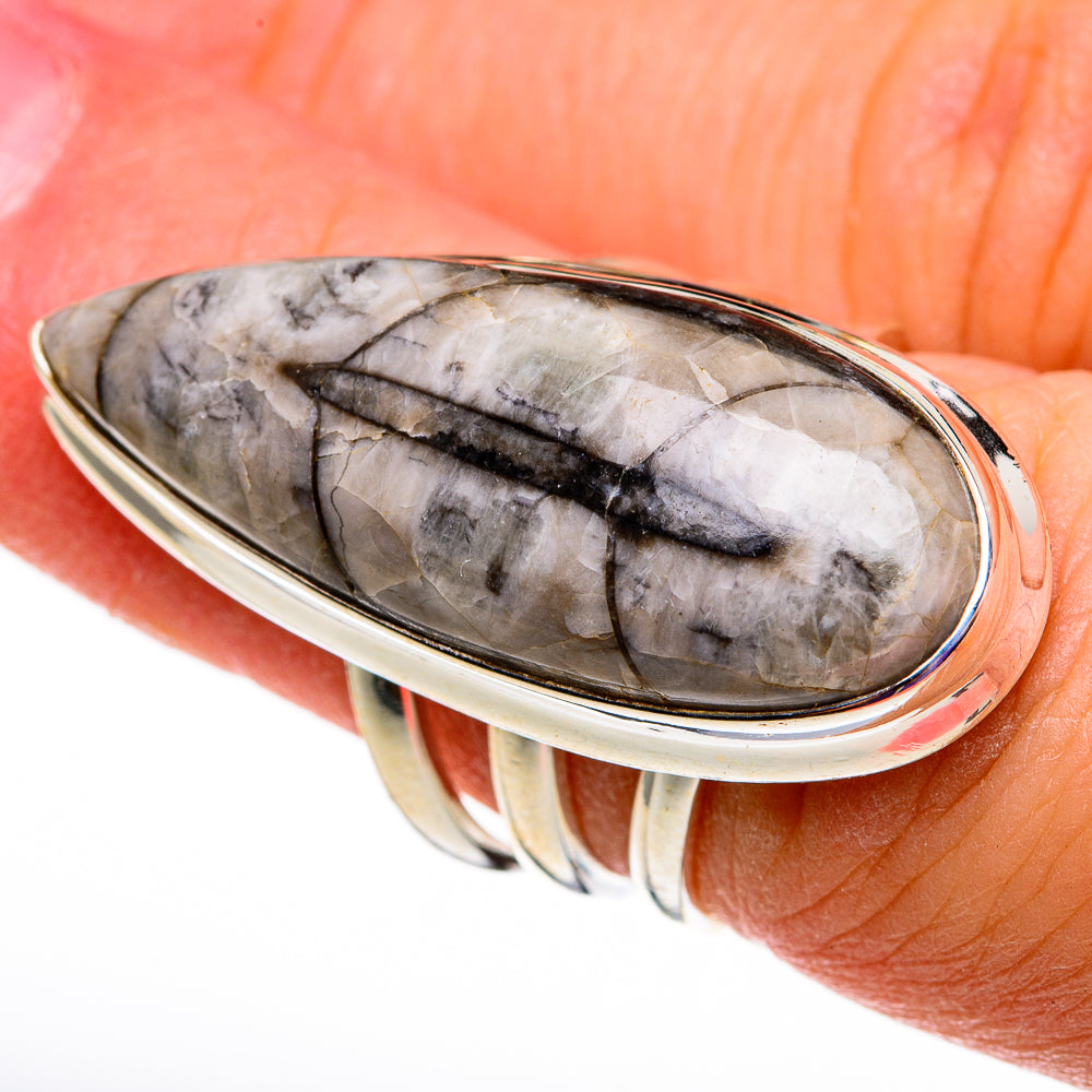 Orthoceras Fossil Rings handcrafted by Ana Silver Co - RING78596