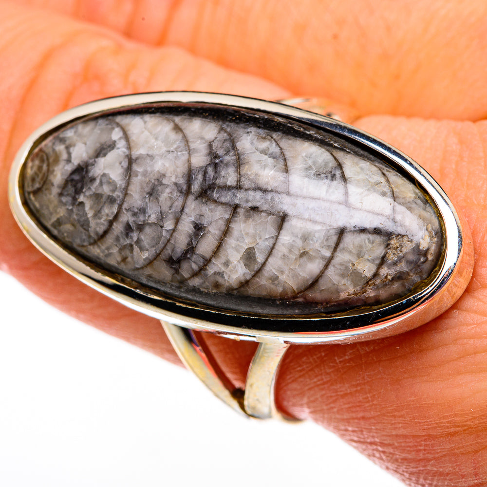 Orthoceras Fossil Rings handcrafted by Ana Silver Co - RING78621
