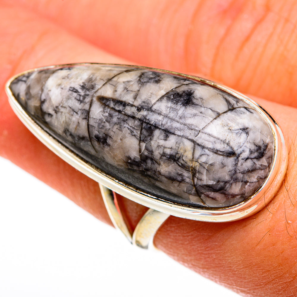 Orthoceras Fossil Rings handcrafted by Ana Silver Co - RING78645