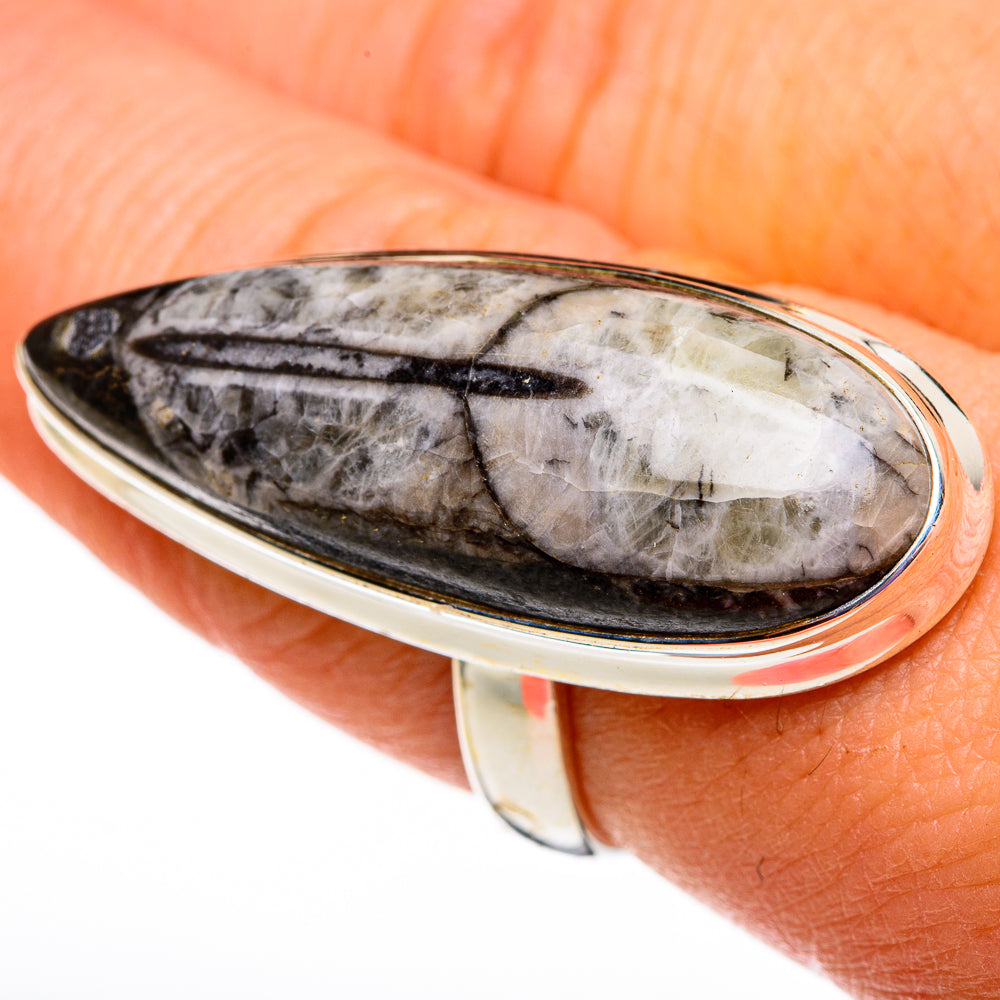 Orthoceras Fossil Rings handcrafted by Ana Silver Co - RING78728