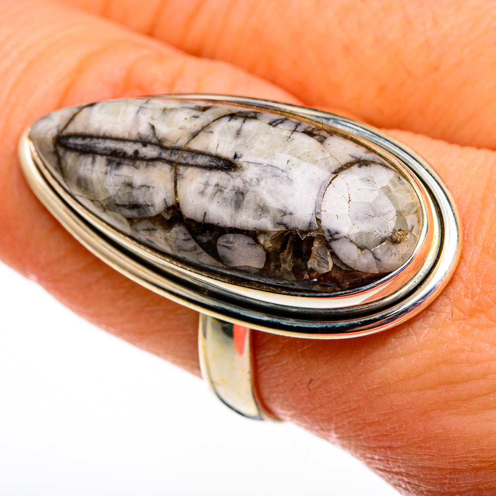 Orthoceras Fossil Rings handcrafted by Ana Silver Co - RING78729